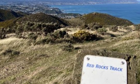 Red Rocks Loop, Wellington