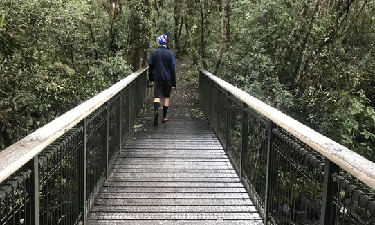 Ohakune Town/Forest Loop, Manawatu - Wanganui