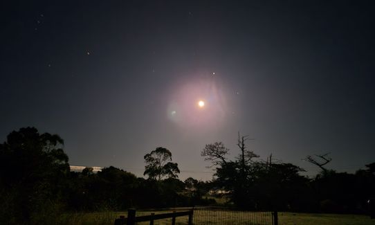 Run Forest Run!, Auckland