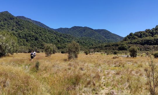 Running Late to Boyd International, Hawkes Bay