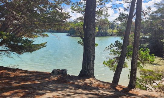 Sanders Reserve, Auckland