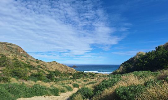 Sandymount - Sandfly Bay Loop, Otago