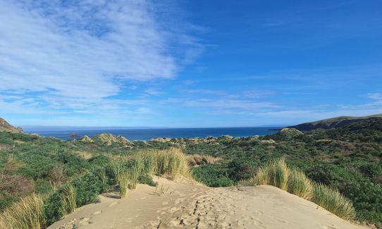 Sandymount - Sandfly Bay Loop, Otago