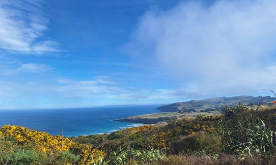 Sandymount - Sandfly Bay Loop, Otago