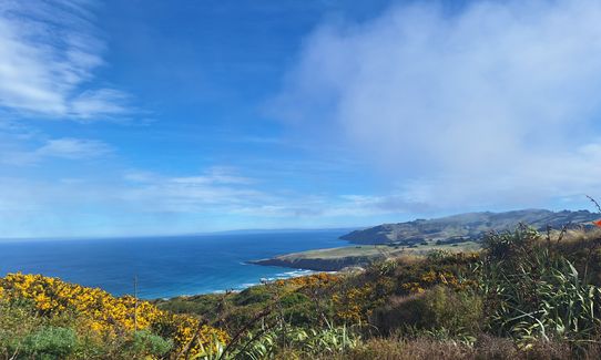 Sandymount - Sandfly Bay Loop, Otago