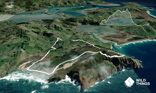 Sandymount - Sandfly Bay Loop, Otago