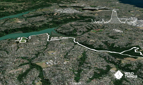 Shepherds of Eskdale, Auckland