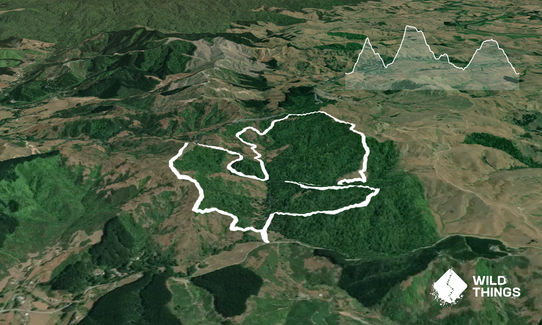 Ed Hillary Hope Reserve Loop, Waikato
