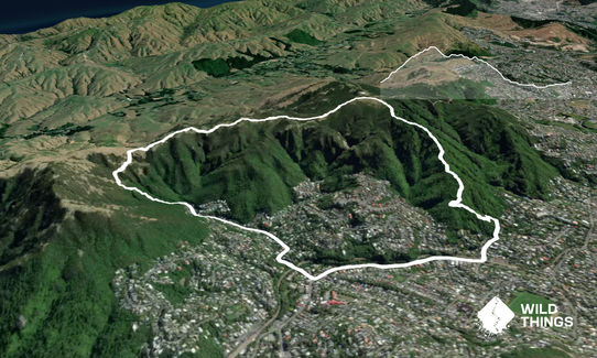 Kaukau Bells Loop, Wellington