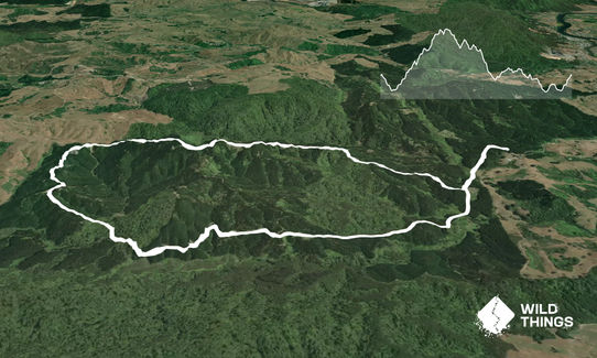 Ngaruawahia Forest Loop, Waikato