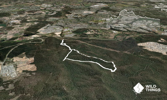 White rock trail ridge circuit, Queensland