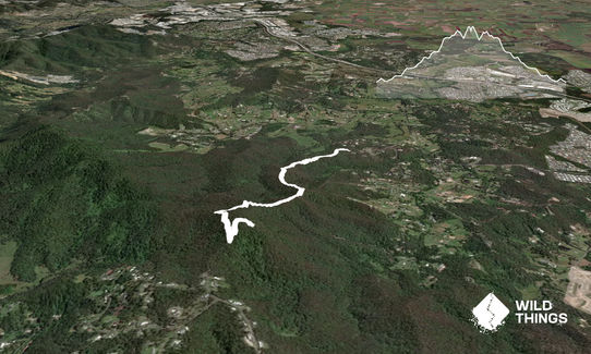 Mount Wongawallan Wander, Queensland