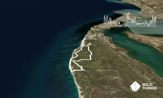 Melrose Beach to White Hill Loop, Western Australia