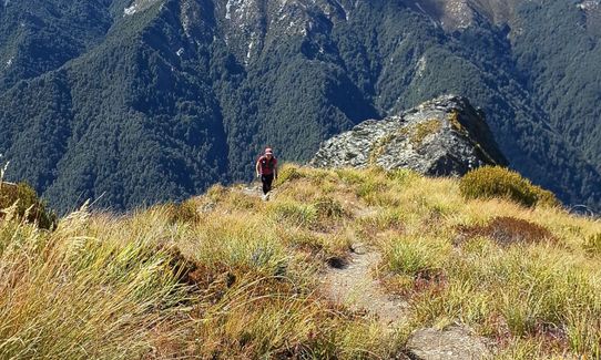 Sentinel Peak, Otago