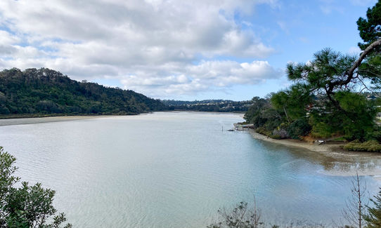 Shepherds of Eskdale, Auckland