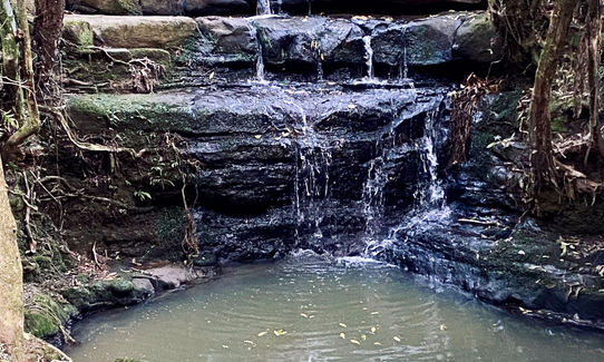 Shepherds of Eskdale, Auckland