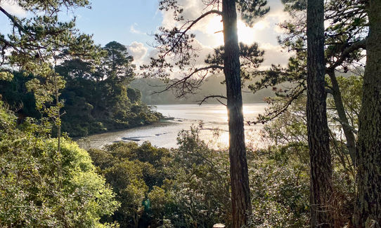 Shepherds of Eskdale, Auckland