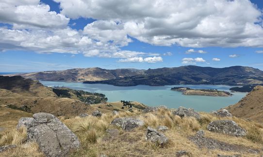 Sign Of The Takahe - Rapaki, Canterbury