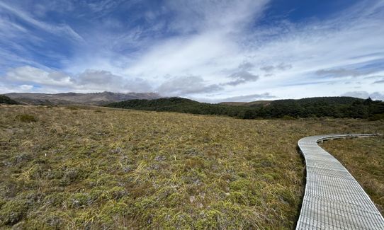 Silica Rapids Quicky, Manawatu - Wanganui