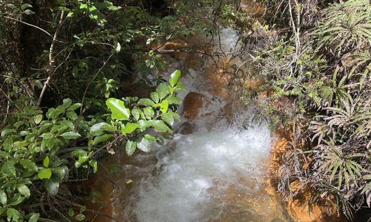 Silica Rapids Quicky, Manawatu - Wanganui