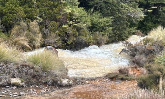 Silica Rapids Quicky, Manawatu - Wanganui