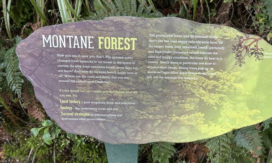 Silica Rapids Quicky, Manawatu - Wanganui