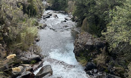 Silica Rapids Quicky, Manawatu - Wanganui