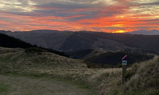Skyline - Mt Kaukau, Wellington