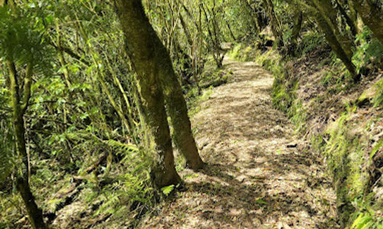 Skyline Track, Tasman