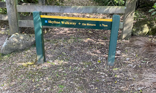 Skyline Track, Tasman