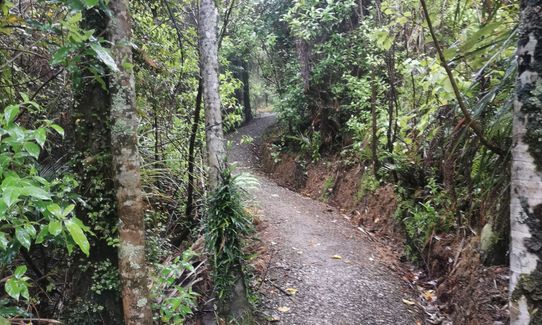 Slip Track from Titirangi, Auckland