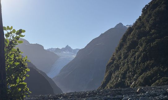 Southern Fox, West Coast