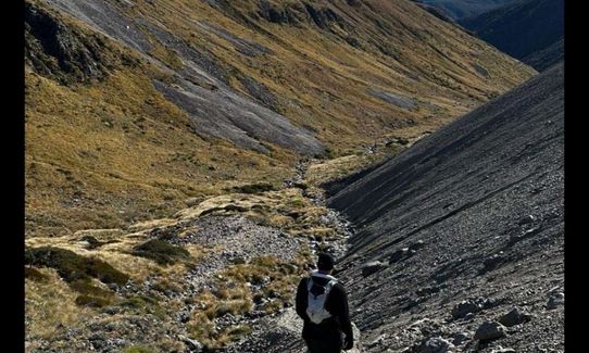 Speargrass - Robert Ridge, Tasman