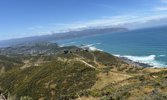 Spooky Gully and the Rocky Shore, Wellington