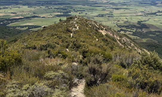 Staveley Hill, Canterbury