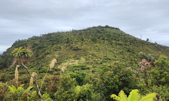 Stokes Peak (A39H)