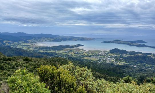 Success Track to Kaipawa, Waikato