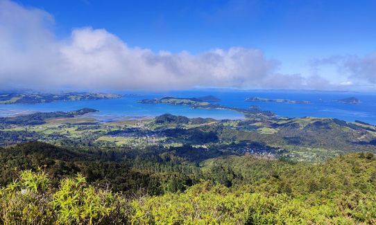 Success Track to Kaipawa, Waikato