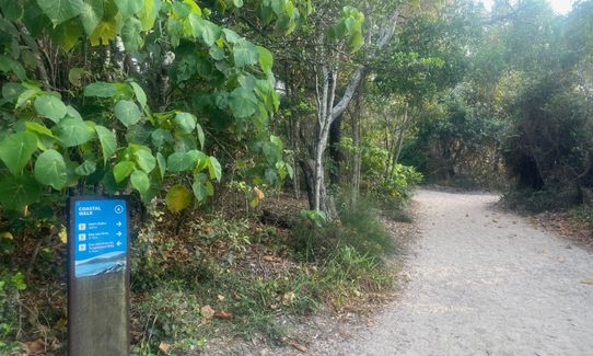 Surf Clubs - Hell's Gate Triangle, Queensland