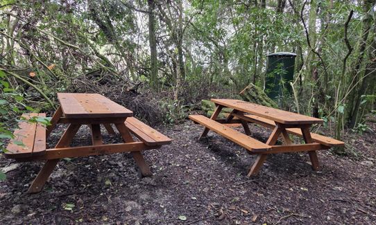 Sutherland's Puriri Bush, Manawatu - Wanganui