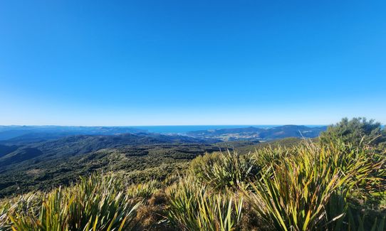 Swampy Ridge Track, Otago