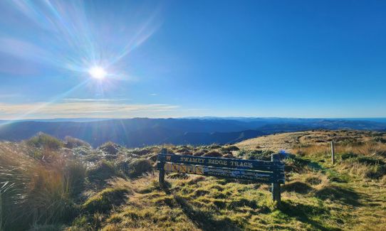 Swampy Ridge Track, Otago