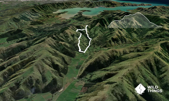 Tūpari - Packhorse - Kaituna Loop, Canterbury