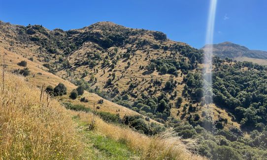 Tūpari - Packhorse - Kaituna Loop, Canterbury