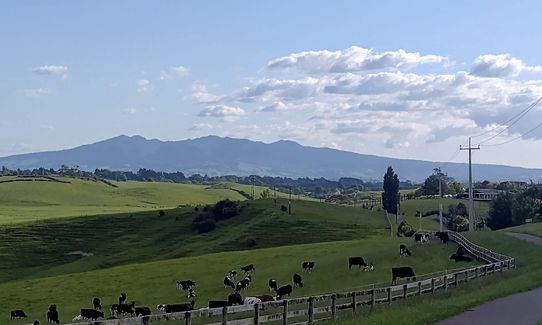 Taitua Arboretum via Till’s Lookout, Waikato