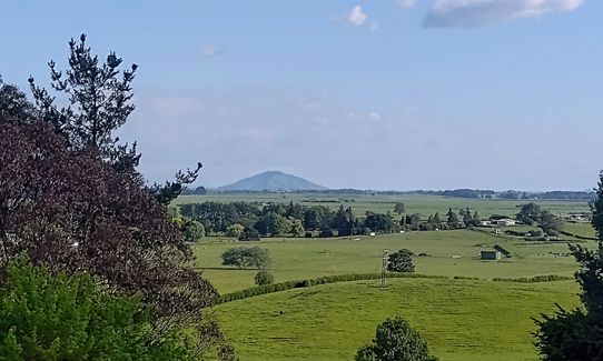 Taitua Arboretum via Till’s Lookout, Waikato