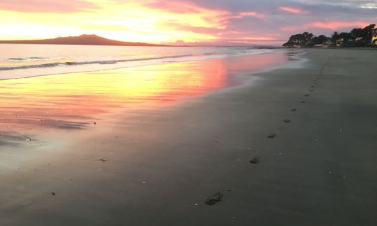 Takapuna Rocks, Auckland