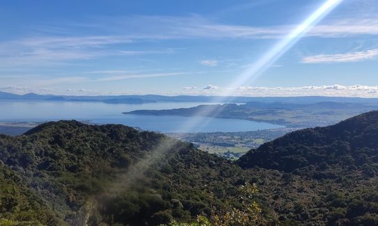 Tauhara Grunt, Waikato