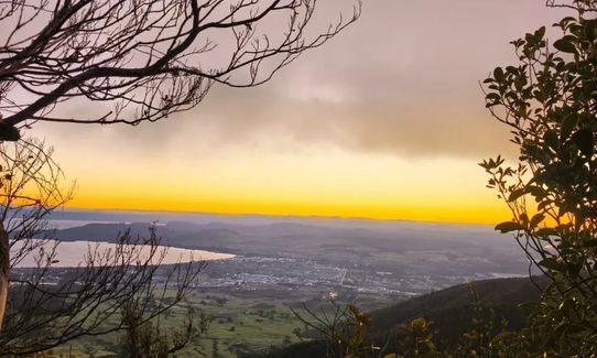 Tauhara Grunt, Waikato