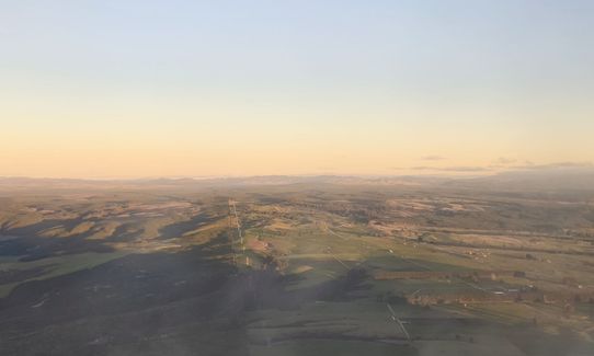 Tauhara Grunt, Waikato